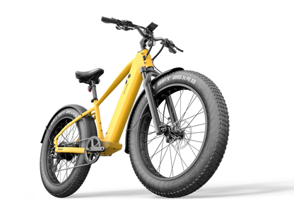 E-Bike